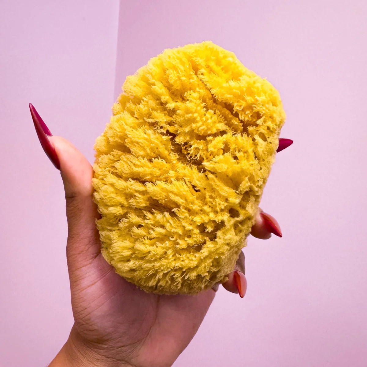NEW CANVAS DEAD SEA SPONGES